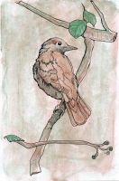 Nightingale